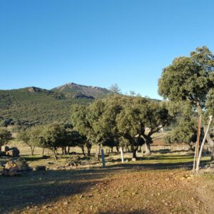 Hallado el cuerpo sin vida de un piloto tras estrellarse la avioneta en la que viajaba en Mazarambroz