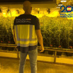 Desmantelan dos cultivos de marihuana en La Sagra con más de 1.400 plantas: hay tres personas detenidas Garaje Cubas de la Sagra