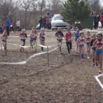 Novés celebra la final regional de la modalidad de Campo a través con 620 deportistas escolares img_3953