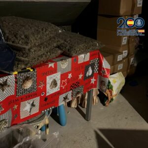 Detienen a 15 personas por enviar marihuana que se cultivaba en Toledo a Alemania y Polonia