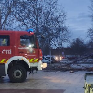 Caída de árboles, ramas y movimiento de contenedores en Toledo por el temporal