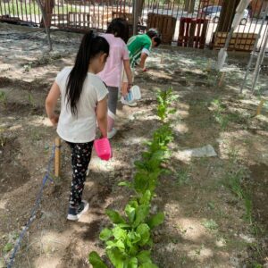 Nueva convocatoria de ayudas para crear y mantener huertos escolares en centros educativos de Toledo