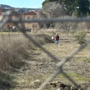 "Si tanto te molesta que te dañen Vega Baja, llévatela a tu casa"
