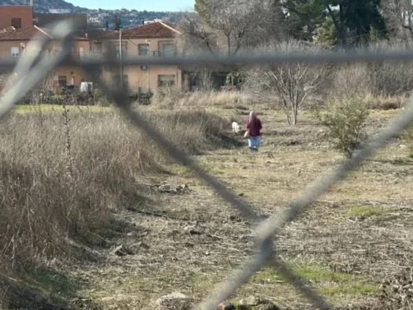 "Si tanto te molesta que te dañen Vega Baja, llévatela a tu casa"