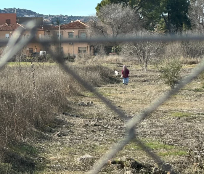 "Si tanto te molesta que te dañen Vega Baja, llévatela a tu casa"