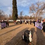 WhatsApp Image 2026-01-13 at 11.42.46