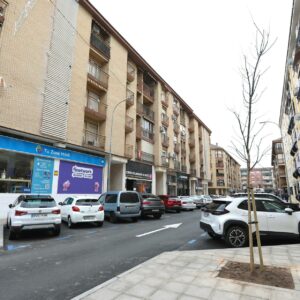 El barrio de Santa Teresa cuenta con 60 nuevos árboles tras las obras de renovación de acerado y pavimento