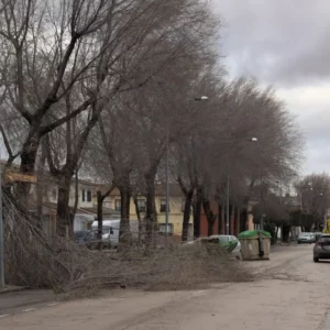 Desprendimientos de fachadas y árboles, vías anegadas o cierre de juzgados: las incidencias del temporal en la provincia de Toledo