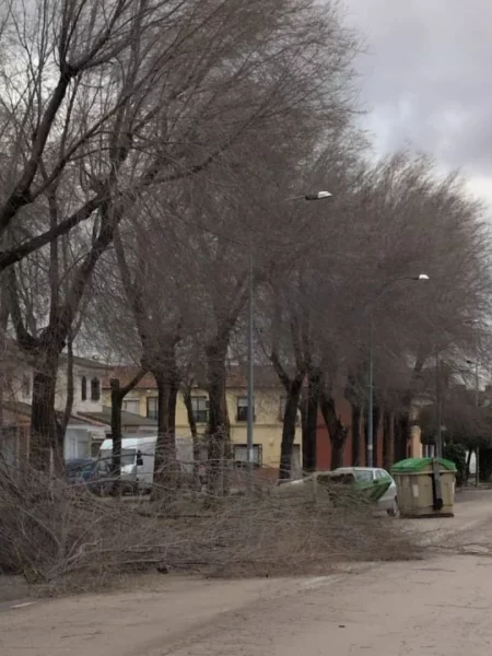 Desprendimientos de fachadas y árboles, vías anegadas o cierre de juzgados: las incidencias del temporal en la provincia de Toledo