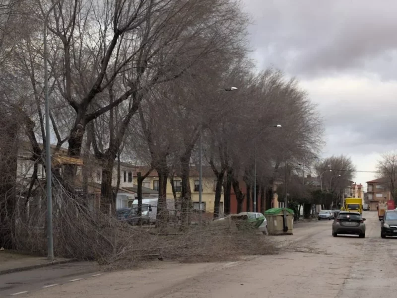 Desprendimientos de fachadas y árboles, vías anegadas o cierre de juzgados: las incidencias del temporal en la provincia de Toledo