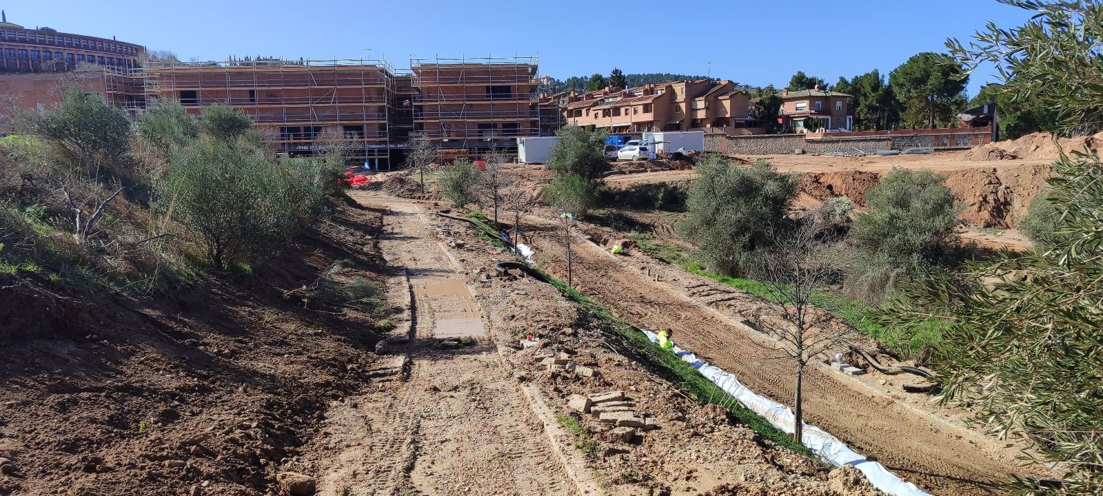 ARBA Toledo advierte de "daños ecológicos" en la ribera del Tajo y se concentrará contra un proyecto en el Valle