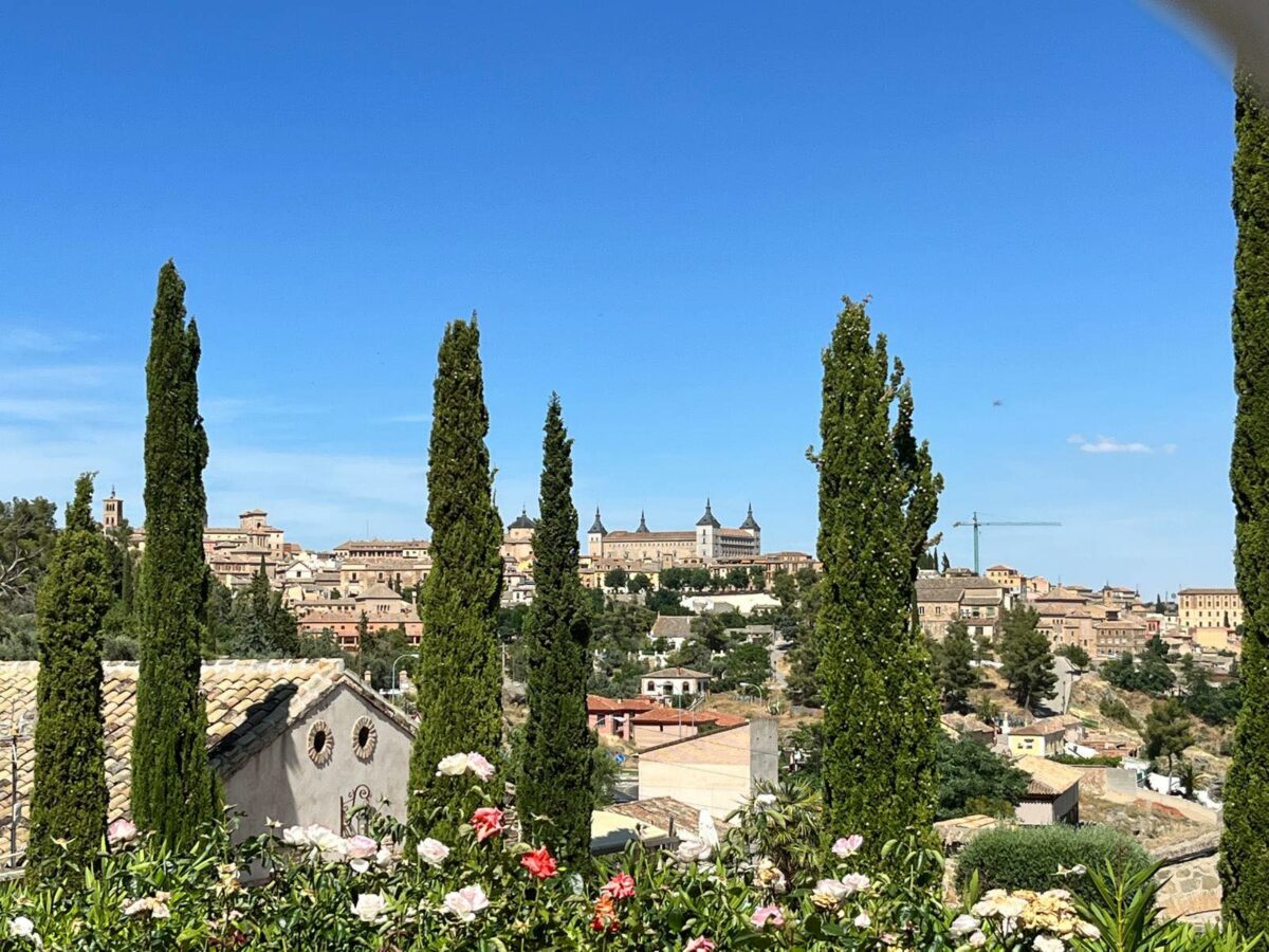 El Servicio de Alergología del Hospital de Toledo advierte de altos niveles de polen con el aumento de las temperaturas