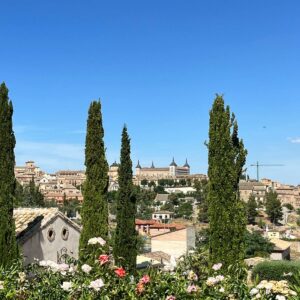 El Servicio de Alergología del Hospital de Toledo advierte de altos niveles de polen con el aumento de las temperaturas