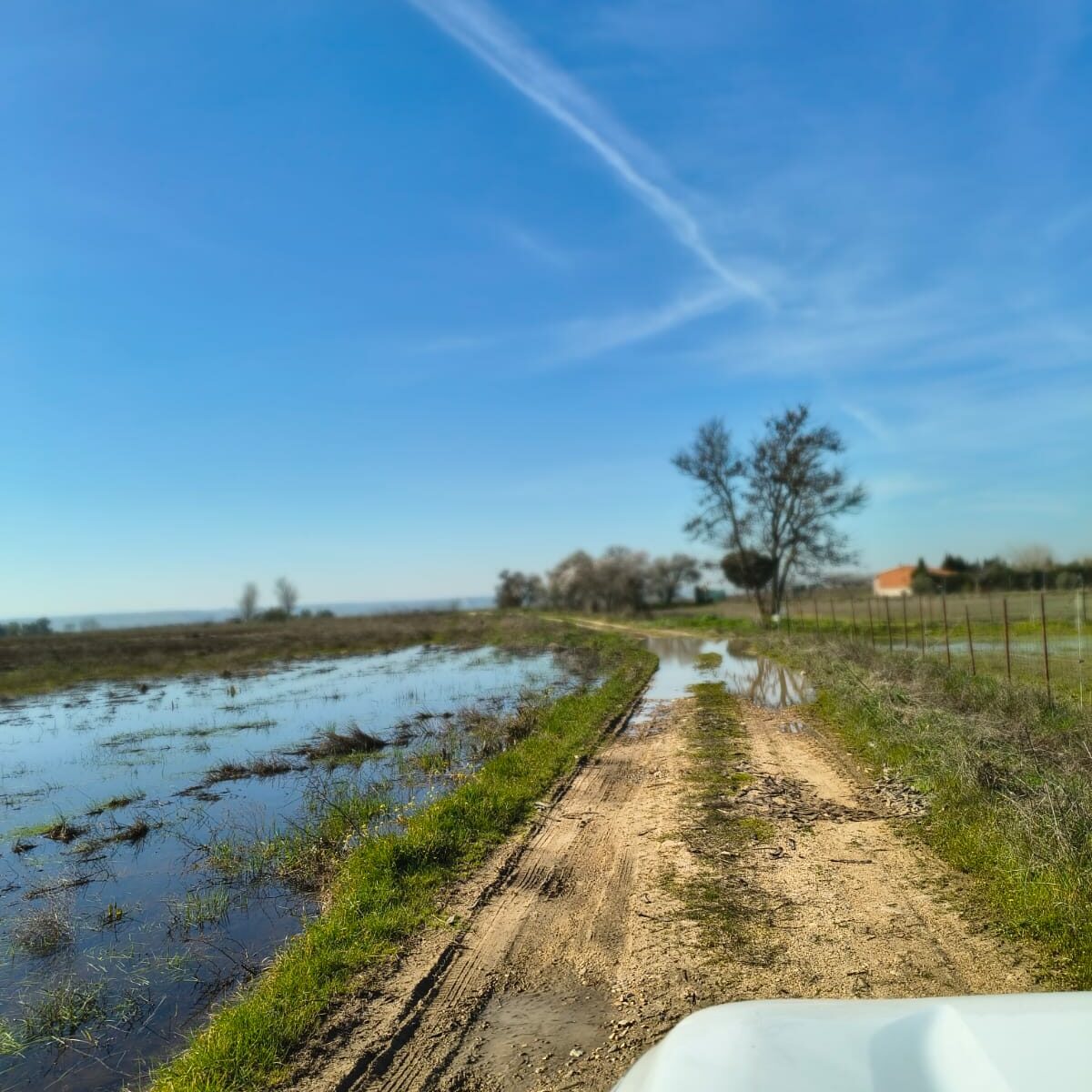 Municipios ribereños del Alberche piden a la Junta ayudas urgentes para reparar caminos dañados por las borrascas