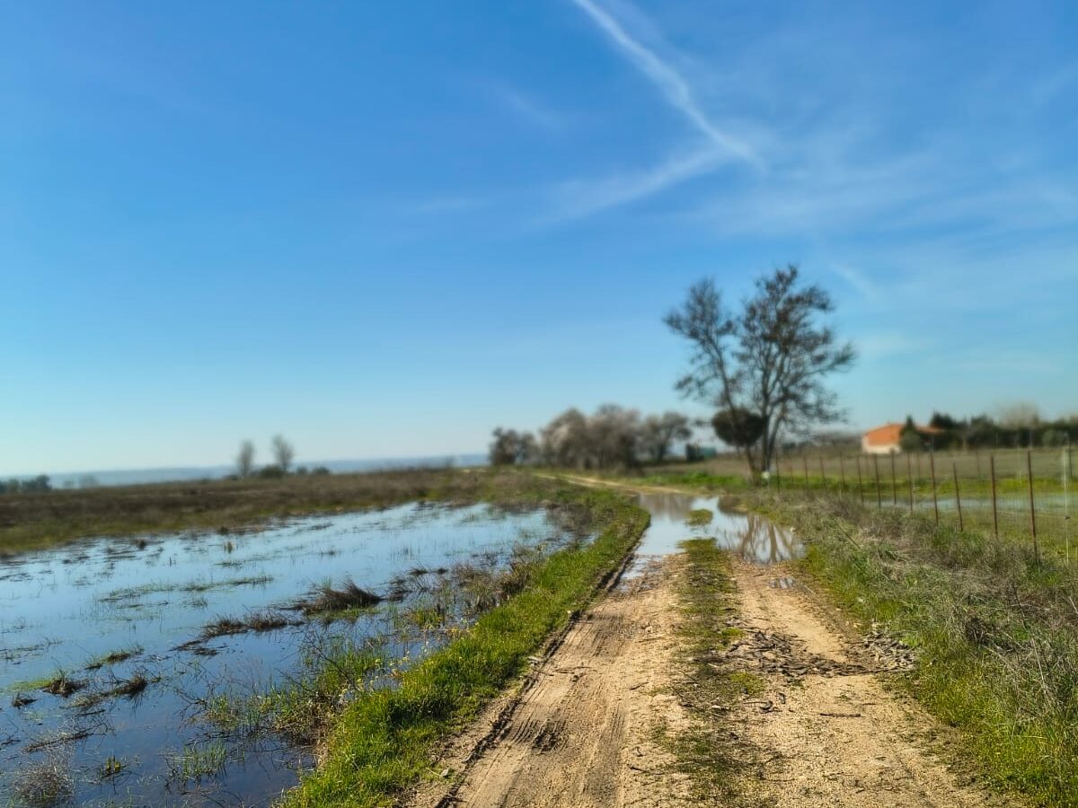 Municipios ribereños del Alberche piden a la Junta ayudas urgentes para reparar caminos dañados por las borrascas