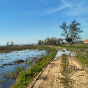 Municipios ribereños del Alberche piden a la Junta ayudas urgentes para reparar caminos dañados por las borrascas
