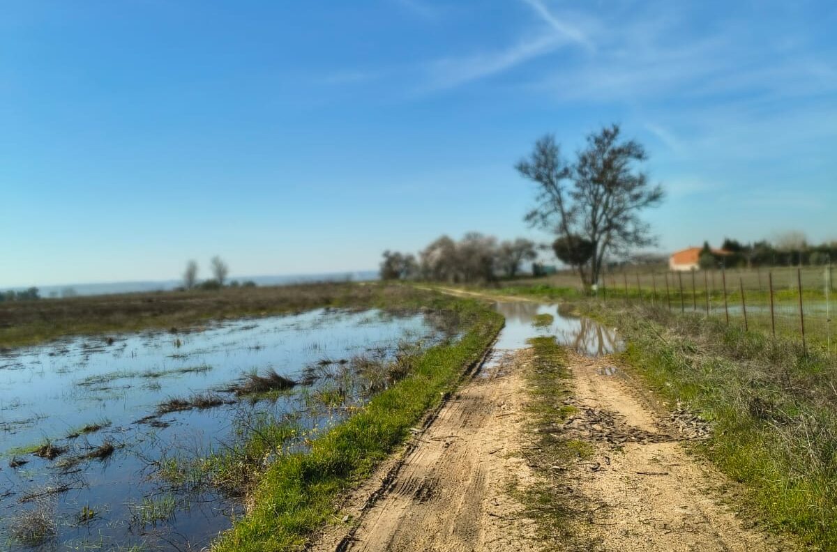 Municipios ribereños del Alberche piden a la Junta ayudas urgentes para reparar caminos dañados por las borrascas