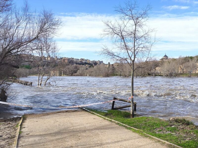 El río Tajo sigue creciendo en Toledo: rebasa el nivel rojo y anega tramos de la senda ecológica