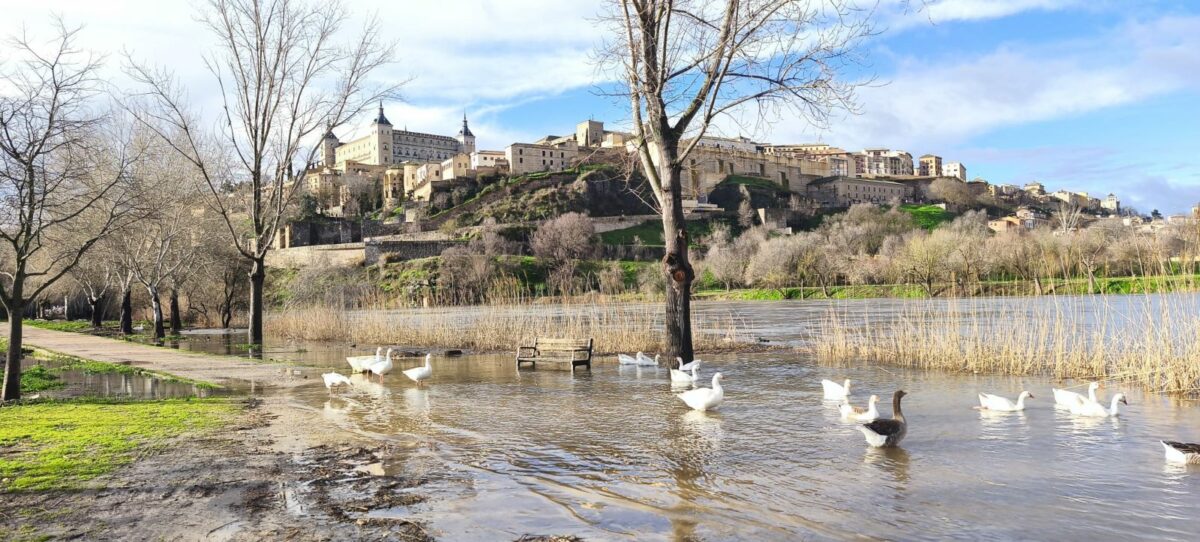 El caudal del río Tajo se eleva hasta casi los 400 metros cúbicos a su paso por Toledo