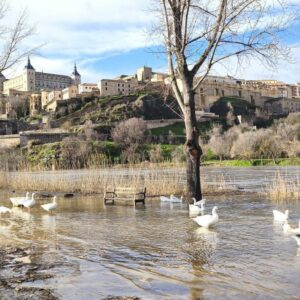 El caudal del río Tajo se eleva hasta casi los 400 metros cúbicos a su paso por Toledo