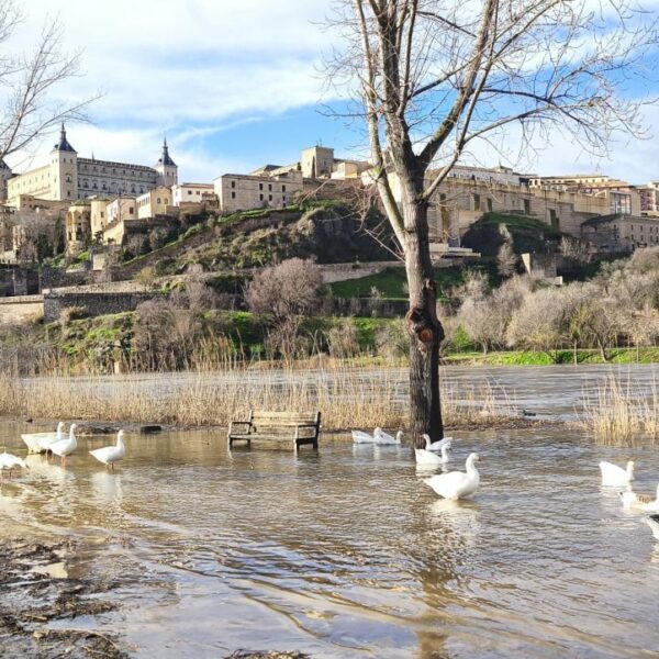 El caudal del río Tajo se eleva por encima de los 400 metros cúbicos a su paso por Toledo
