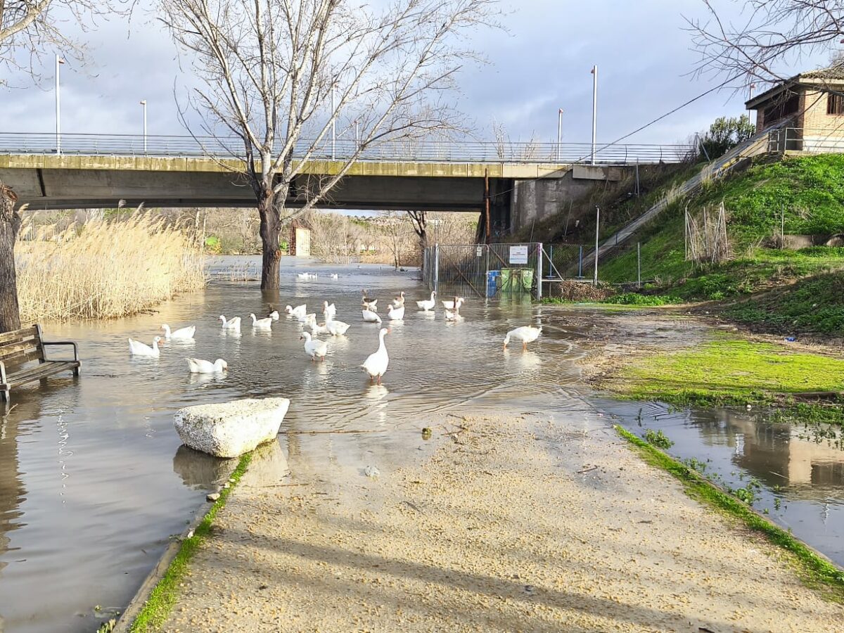 Nueva victoria judicial a favor de los caudales ecológicos del Tajo que desbloquea la revisión de las reglas del trasvase