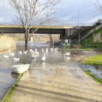 Así fueron las “extraordinarias” lluvias que desbordaron la cuenca del Tajo durante febrero