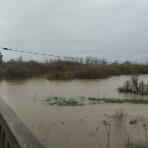 El Instituto San Isidro de Talavera suspende las clases presenciales por filtraciones de agua
