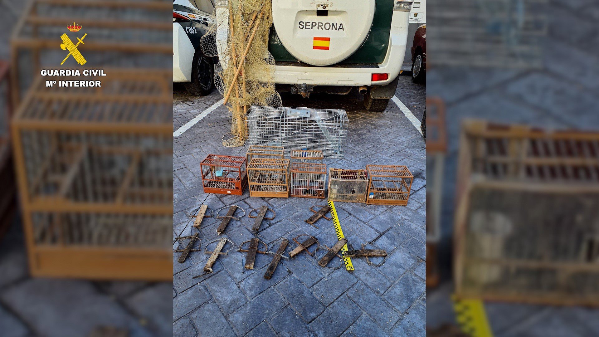 Investigan a una persona por capturar jilgueros con ramas impregnadas de pegamento en Talavera