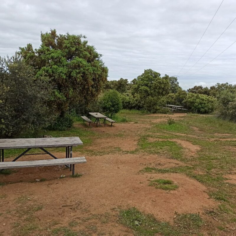 Vox defiende el proyecto del Valle y cree que oponerse al mismo es "un atraso de concepto vital"