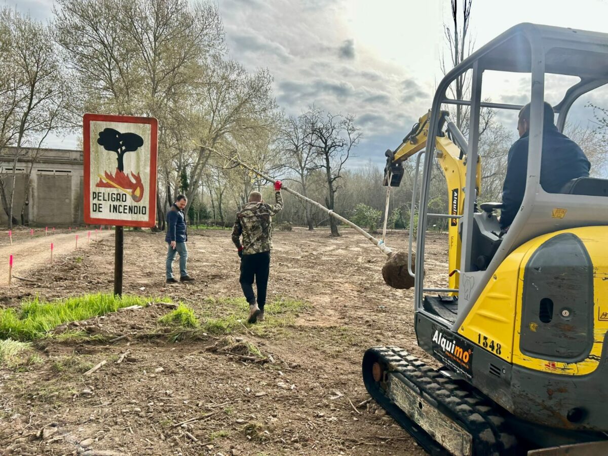 La Plataforma Talavera Natural en Acción denuncia "una agresiva actuación" en un bosque de ribera del Tajo