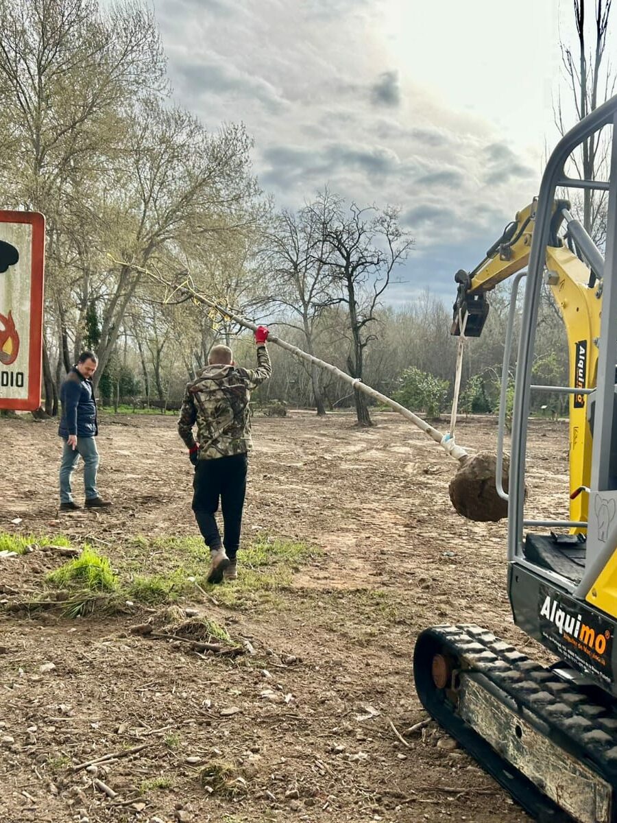 La Plataforma Talavera Natural en Acción denuncia "una agresiva actuación" en un bosque de ribera del Tajo