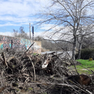 Esparvel se suma a las denuncias de las actuaciones "sin autorización" en Isla de Los Molinos