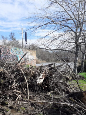 Esparvel se suma a las denuncias de las actuaciones "sin autorización" en Isla de Los Molinos