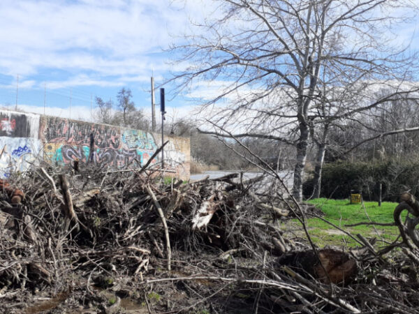 Esparvel se suma a las denuncias de las actuaciones "sin autorización" en Isla de Los Molinos