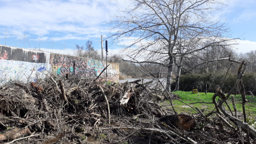 Esparvel se suma a las denuncias de las actuaciones "sin autorización" en Isla de Los Molinos