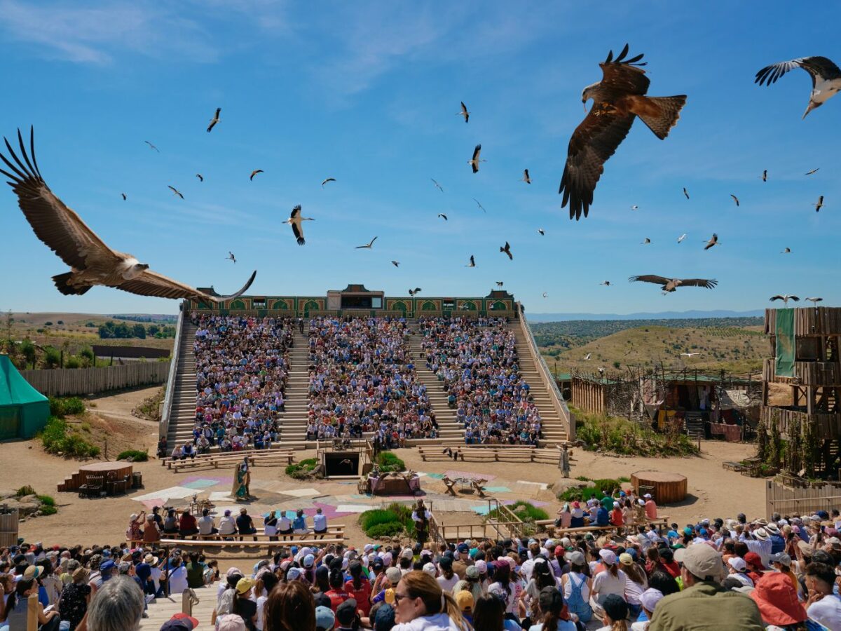 Puy du Fou despide a tres responsables de animales tras reconocer enterramientos dentro del parque