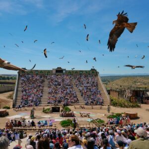 Puy du Fou despide a tres responsables de animales tras reconocer enterramientos dentro del parque