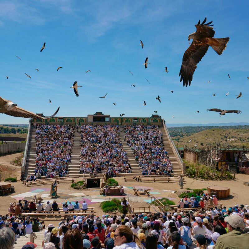 Puy du Fou despide a tres responsables de animales tras reconocer enterramientos dentro del parque