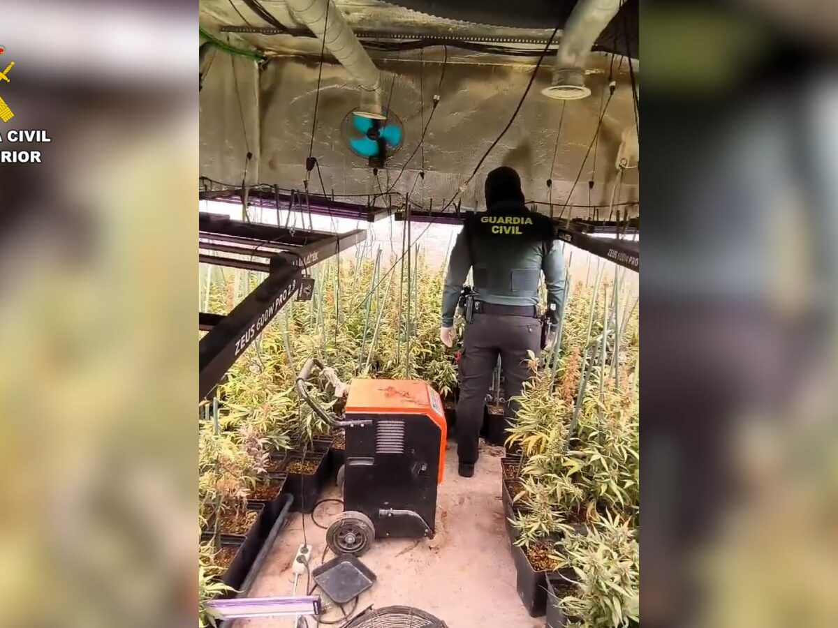 La Guardia Civil desmantela un cultivo 'indoor' de marihuana con 1.500 plantas en Hormigos