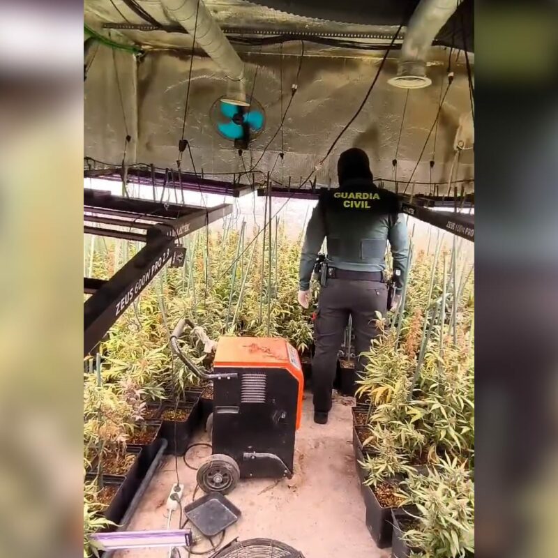 La Guardia Civil desmantela un cultivo 'indoor' de marihuana con 1.500 plantas en Hormigos
