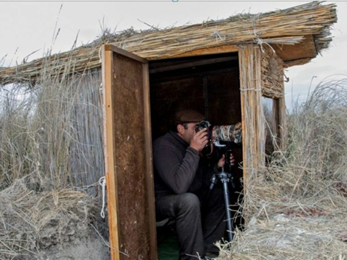 Los ocho 'hides' que permitirán fotografiar la invernada de grullas o la berrea en la Campana de Oropesa