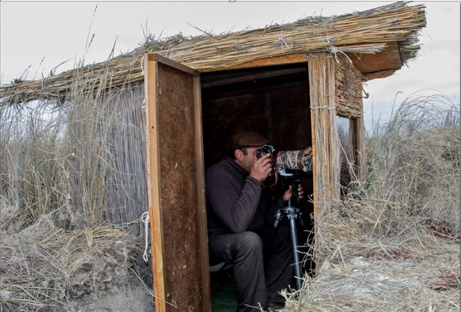 Los ocho 'hides' que permitirán fotografiar la invernada de grullas o la berrea en la Campana de Oropesa