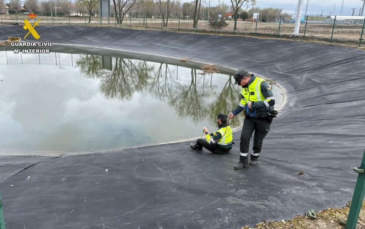 Un hombre y sus dos perros son rescatados tras quedar atrapados en una alberca en Fuensalida