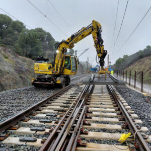 Sale del hospital la médica talaverana que viajaba en uno de los trenes accidentados en Adamuz