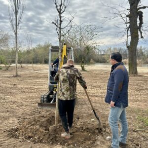 La Plataforma Talavera Natural en Acción denuncia "una agresiva actuación" en un bosque de ribera del Tajo
