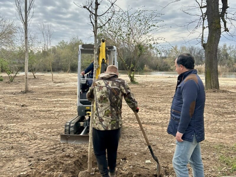La Plataforma Talavera Natural en Acción denuncia "una agresiva actuación" en un bosque de ribera del Tajo