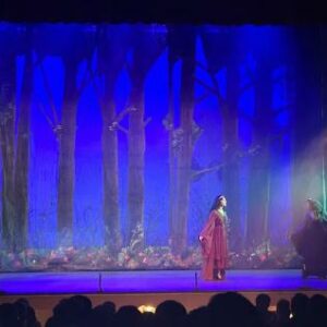 Música, fantasía y simbolismo: 'La flauta mágica' de Mozart llega este sábado al Palacio de Congresos de Toledo