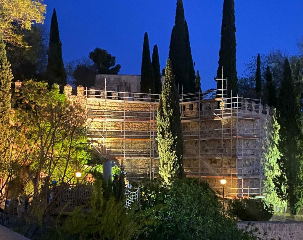 Esparvel pide frenar la restauración de la muralla de Toledo para proteger al vencejo común en el período de cría