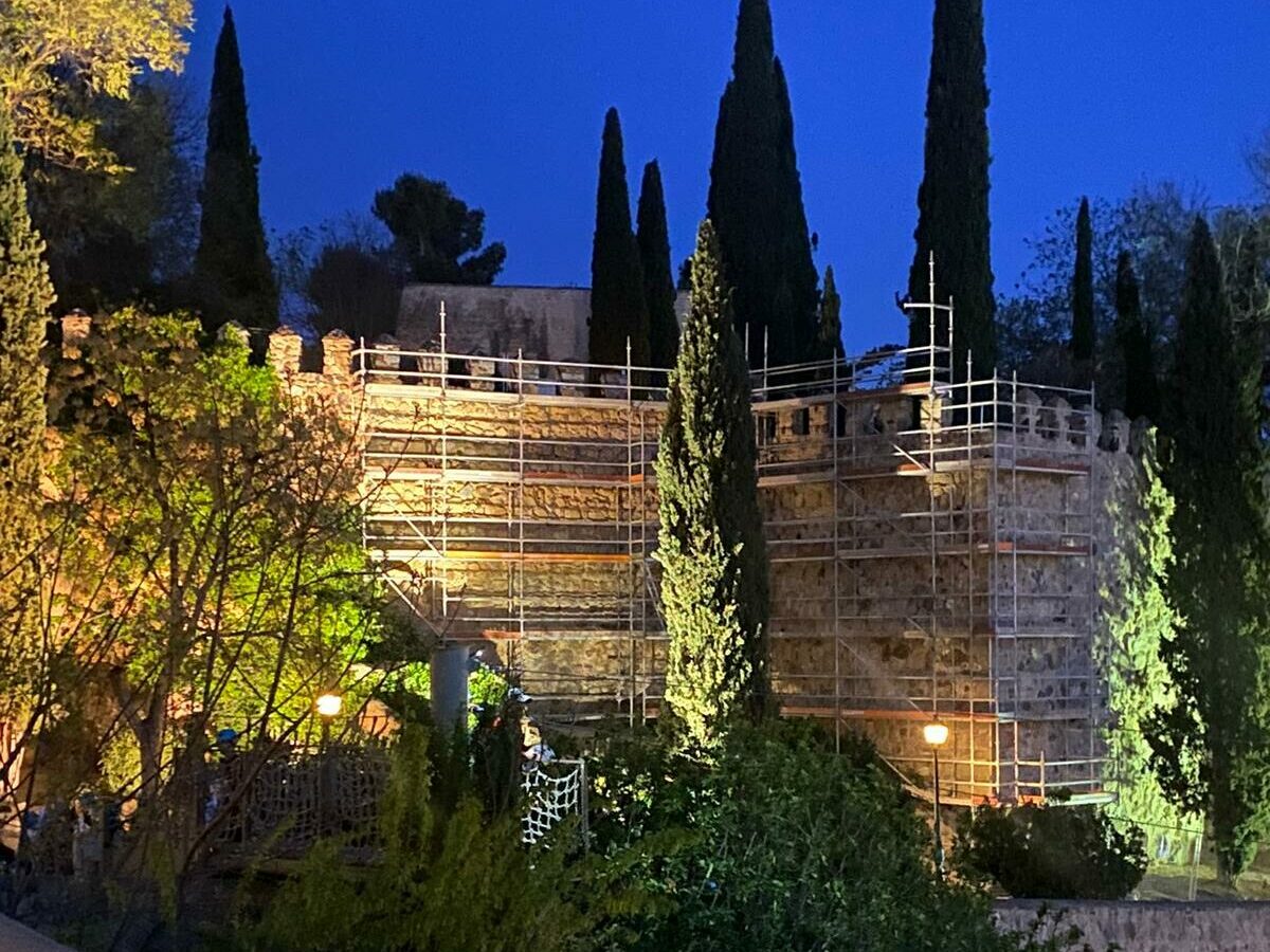 Esparvel pide frenar la restauración de la muralla de Toledo para proteger al vencejo común en el período de cría